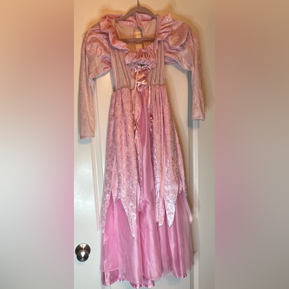 Pink Princess Dress